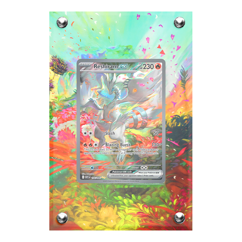 Extended artwork Reshiram EX 166 Fuoco Bianco in case acrilico, Artworks di Headshot Trading Cards
