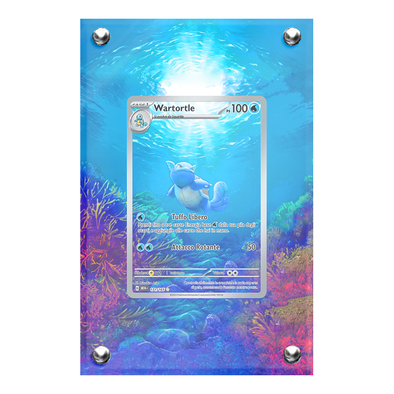 Extended artwork Wartortle 171 (151) in case acrilico, Artworks di Headshot Trading Cards